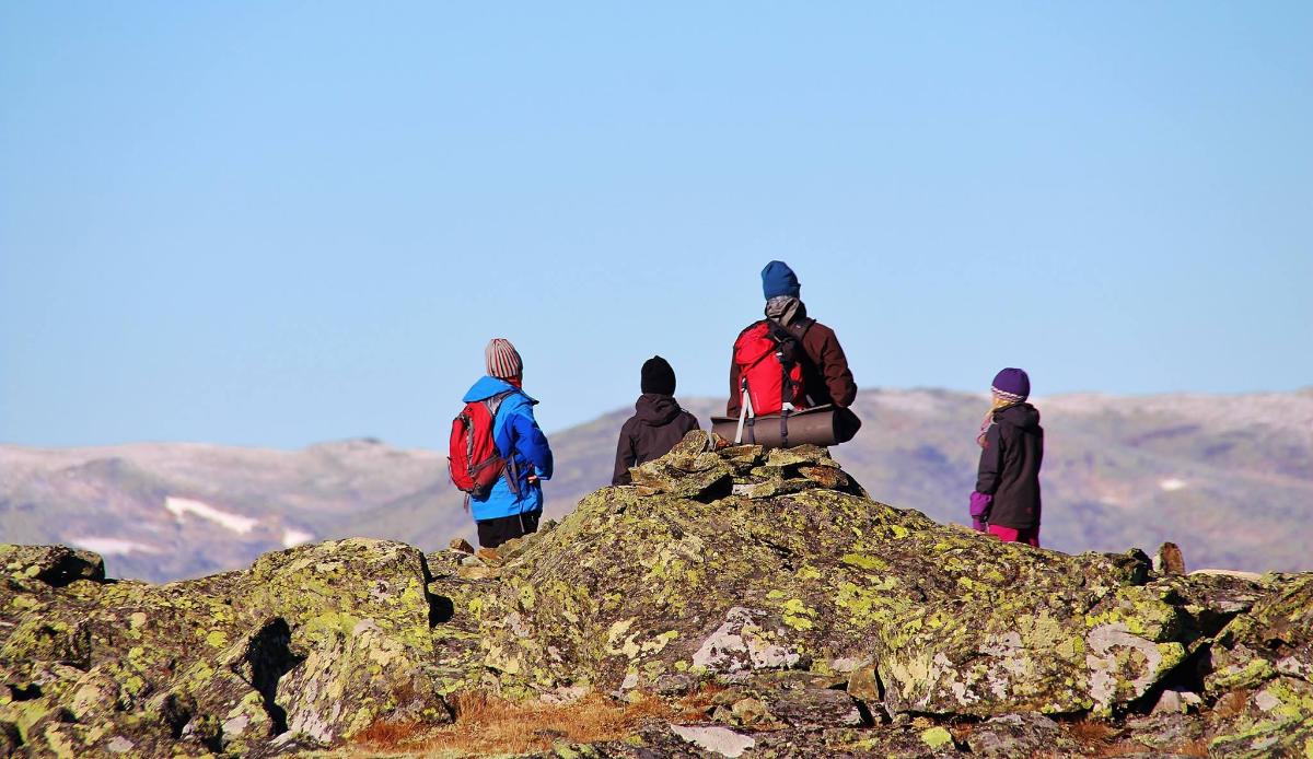 Mye å glede seg over!